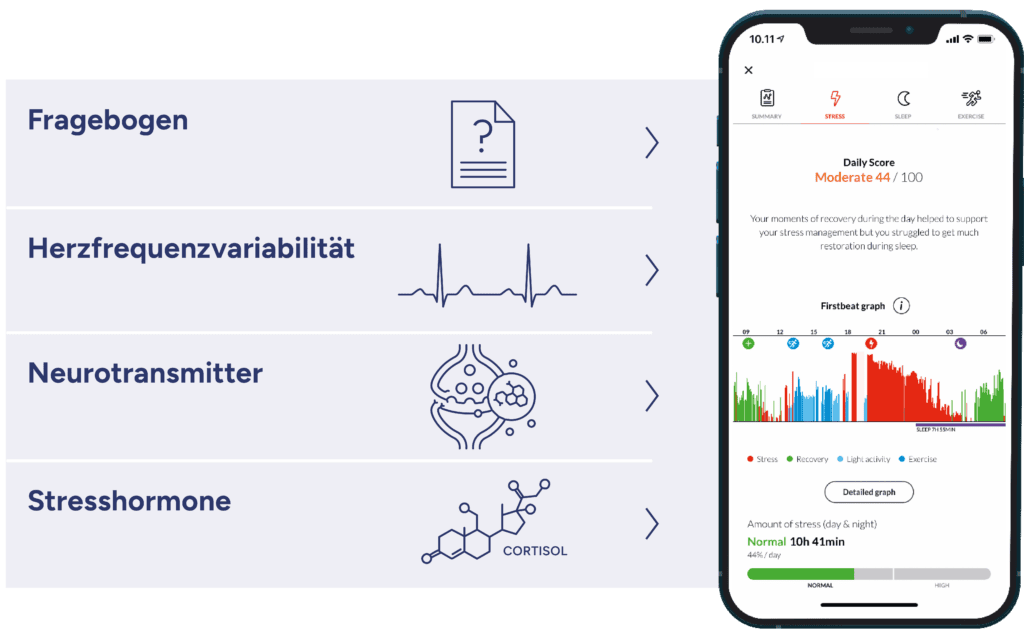 intergrativer stress test
