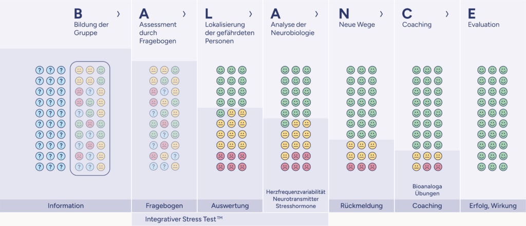 blalance compass neu april25